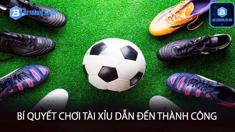 Bí quyết chơi tài xỉu dẫn đến thành công